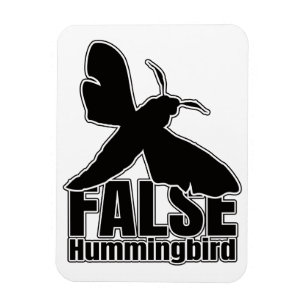 Imán Hummingbird Hawk-Moth Mariposa - Geek de Entomolog