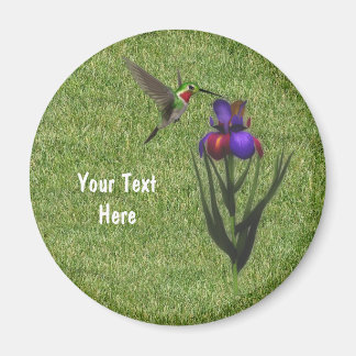 Imán Hummingbird Iris Flower Magnet