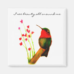 Imán Hummingbird - Veo belleza a mi alrededor