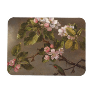 Imán Hummingbird y flores de manzana