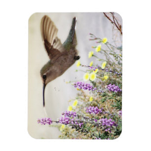 Imán Hummingbird y Wildflowers Arte Digital