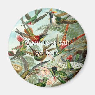 Imán Hummingbirds vintage