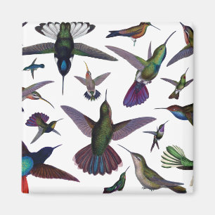 Imán Hummingbirds vintage