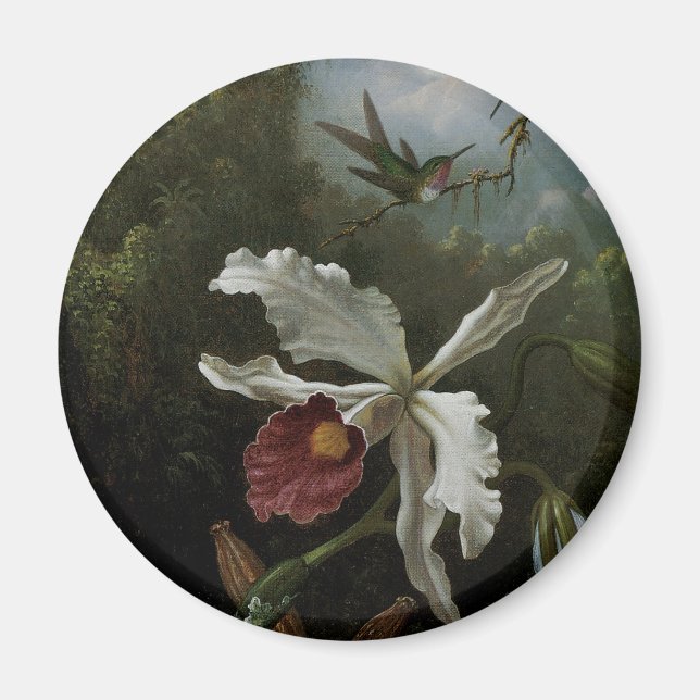 Imán Hummingbirds y Orquídea Blanca por Martin J. Heade (Frente)