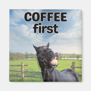 Imán Humor divertido hablando de caballo