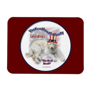 Imán Humor político de Goldendoodle