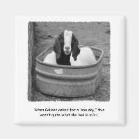 Humorístico Goat Spa Day Magnet