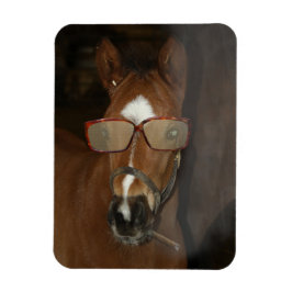 Imán Humorous Horse Foal Fumar Cigar Flexible Magnet