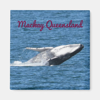 IMÁN HUMPBACK WHALE TAIL MACKAY QUEENSLAND AUSTRALIA
