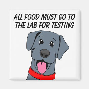 Imán Hungry Black Labrador Food Tester