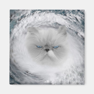 Imán Huracán Angry Cat 5