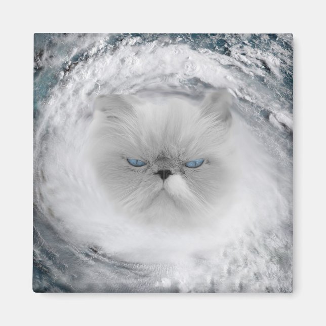 Imán Huracán Angry Cat 5 (Frente)