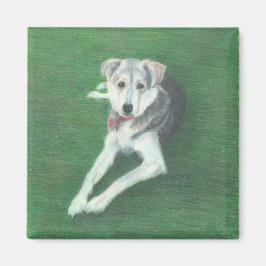 Imán Husky Dog Magnet