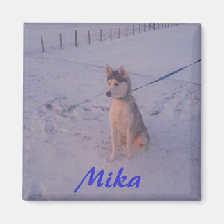Imán Husky.Mika.magnet
