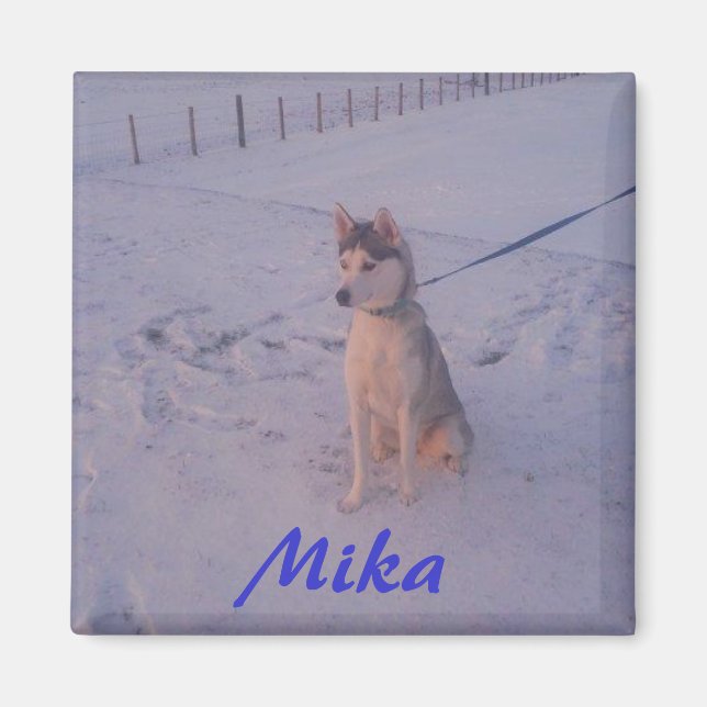Imán Husky.Mika.magnet (Frente)