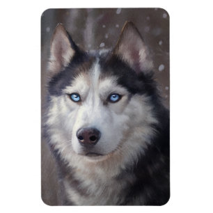 Imán Husky Siberian