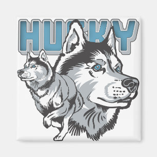 Imán Husky siberiano hermoso