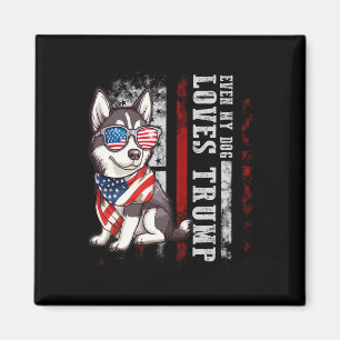 Imán Husky siberiano incluso mi perro ama a Trump diver