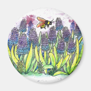 Imán Hyacinth de uva