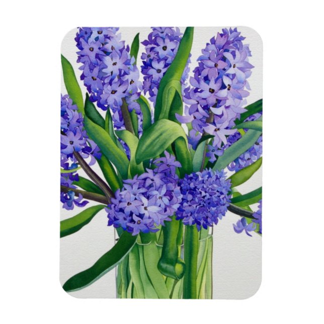 Imán Hyacintos azules (Vertical)
