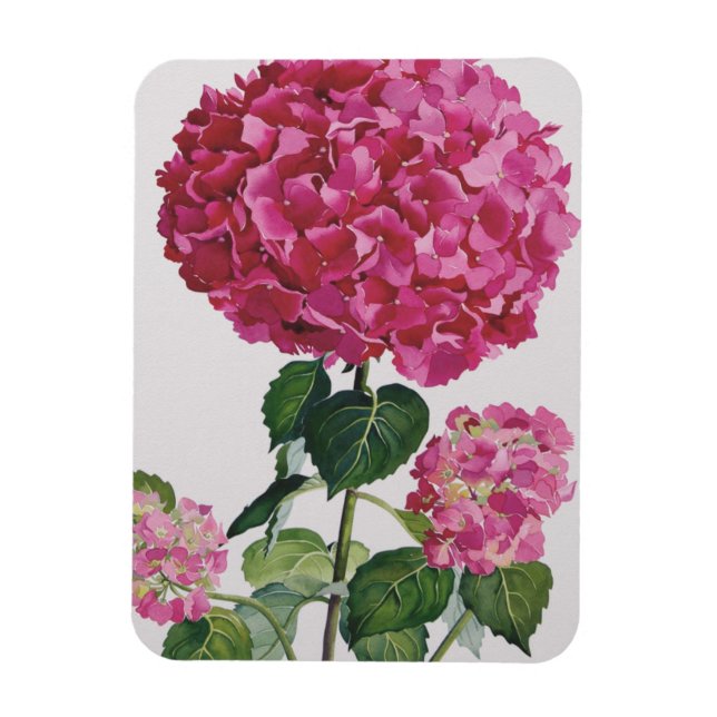 Imán Hydrangea (Vertical)