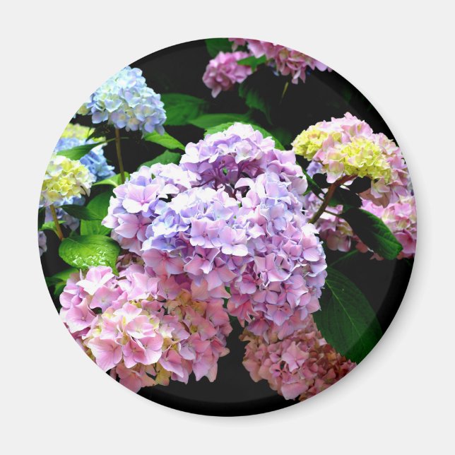 Imán Hydrangea garden, rosa, azul, violeta floral (Frente)