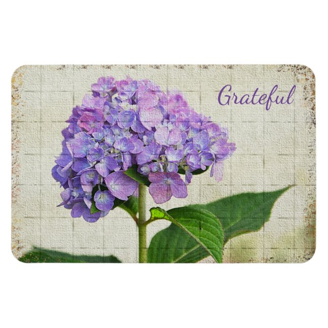 Imán Hydrangea Lavanda Gratitud (Horizontal)