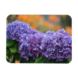 Imán Hydrangea Magnet