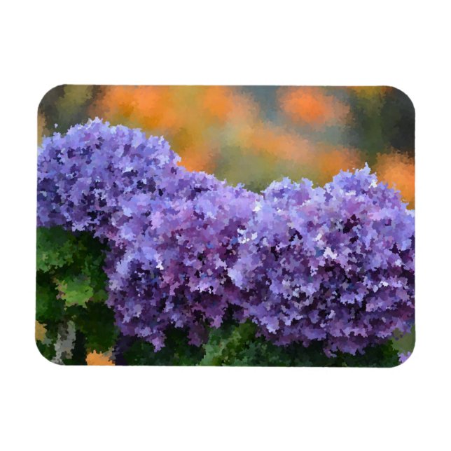 Imán Hydrangea Magnet (Horizontal)