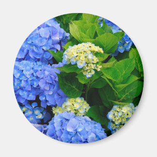 Imán Hydrangeas