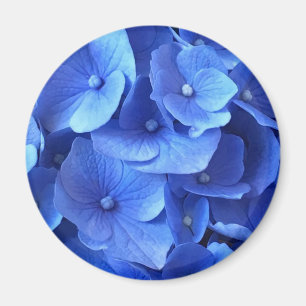 Imán Hydrangeas azul oscuro