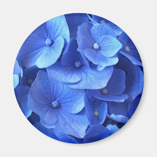 Imán Hydrangeas azul oscuro (Frente)