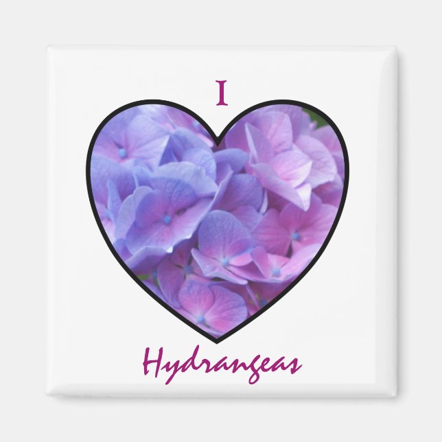 Imán Hydrangeas Magnet (Frente)