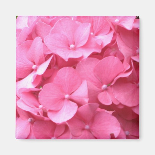 Imán Hydrangeas Magnet (Frente)