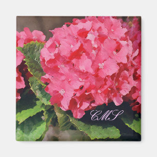 Imán Hydrangeas rosa