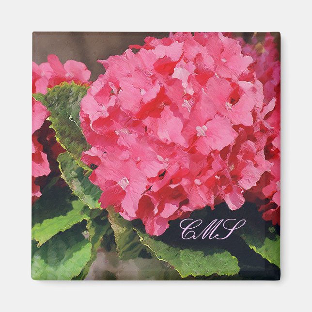 Imán Hydrangeas rosa (Frente)
