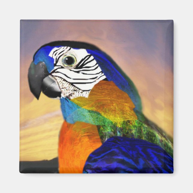 IMÁN HYPER PARROTS / BLUE ARA (Frente)