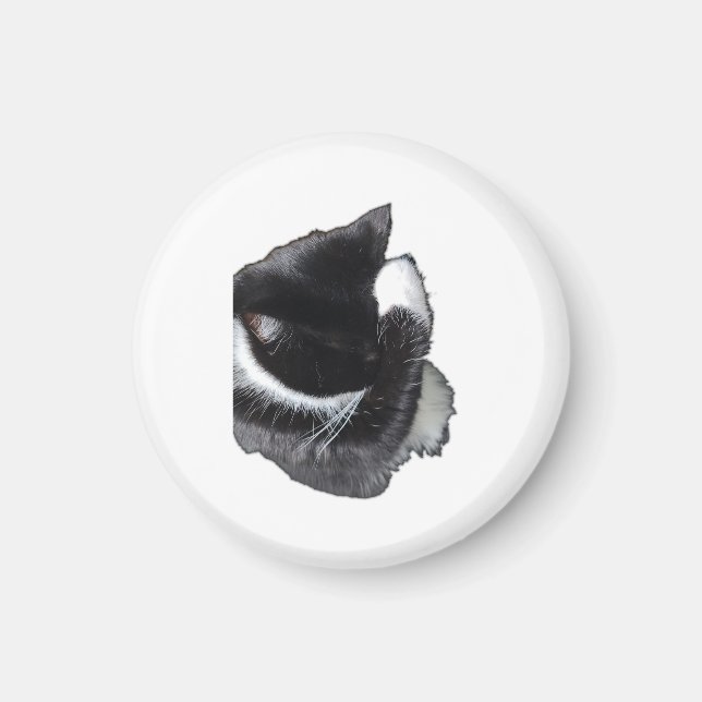 Imán I Can't Even Right Meow (Frente)