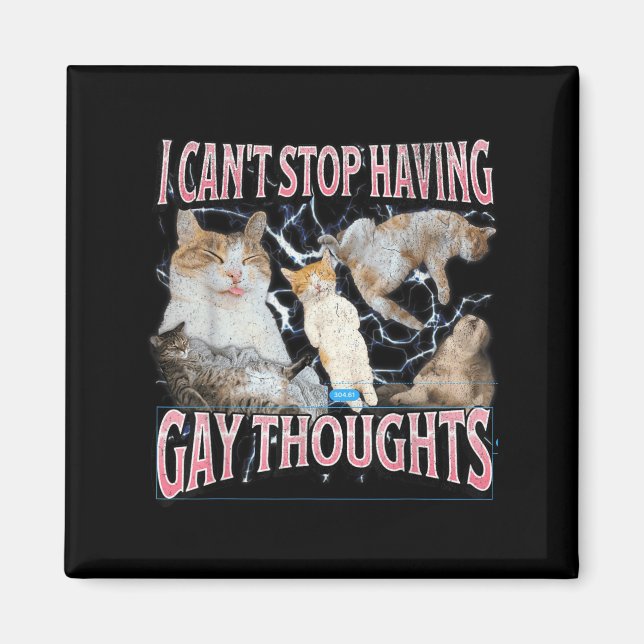 Imán I Can't Stop Having Gay Thoughts Funny Cat Meme Bo (Frente)