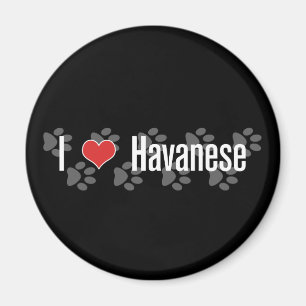 Imán I (corazón) Havanese