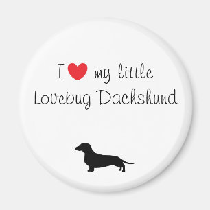 Imán I corazón mi Dachshund de Lovebug