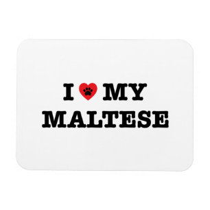 Imán I corazón mi maltés