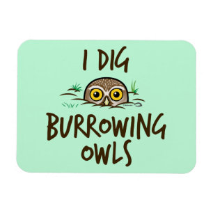 Imán I Dig Burrowing Owes