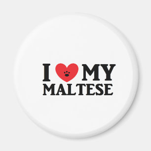 Imán I H Mi Maltés