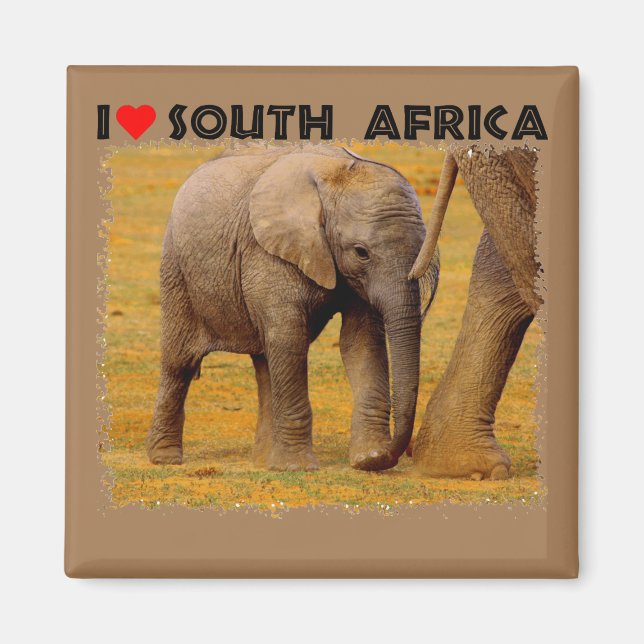 Imán I Heart South Africa Elephant Calf Magnet (Frente)