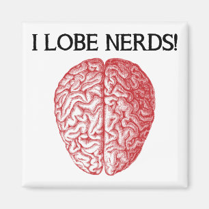 Imán I Lobe Nerds Love Funny Fridge Magnet