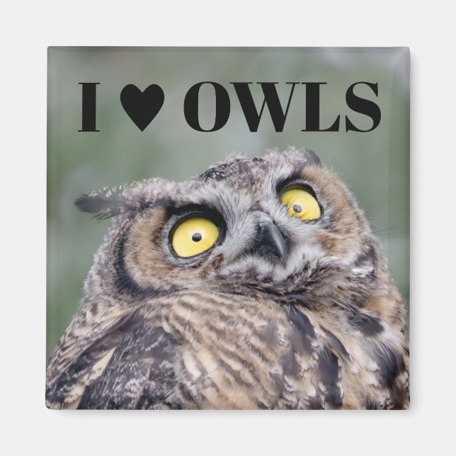 Imán I Love Owls Magnet (Frente)