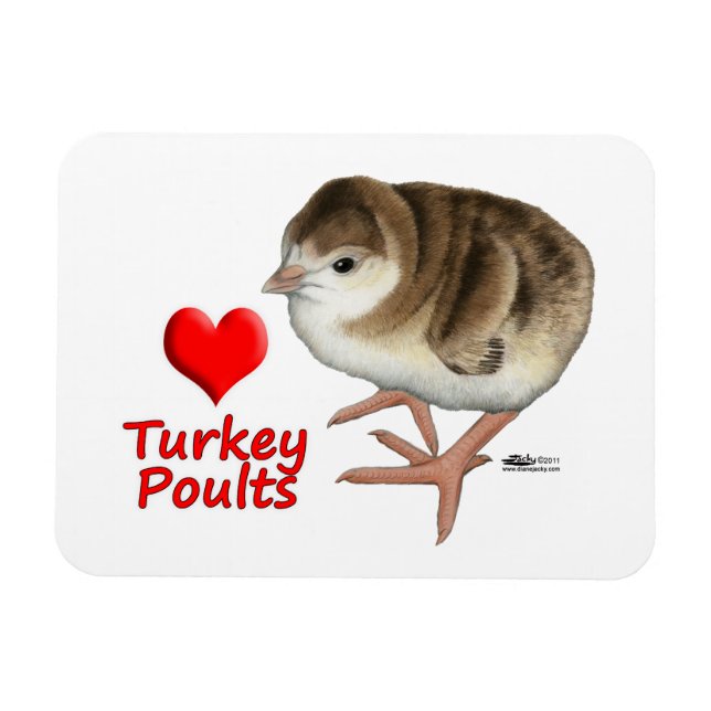 Imán I Love Turkey Poults! (Horizontal)