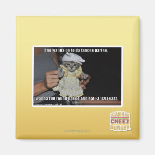 Imán I ningún quiere ir al partee del fancee de DA