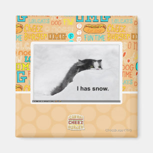 Imán I tiene nieve
